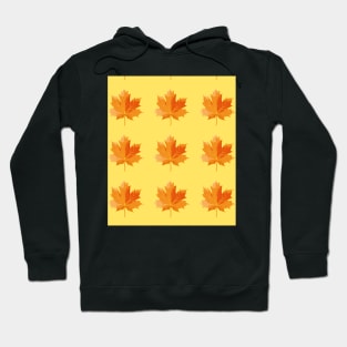 Maple leaves in autumn pattern Hoodie